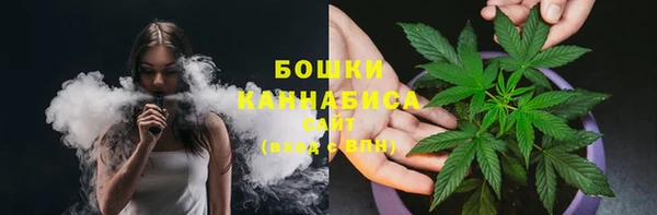 2c-b Бородино