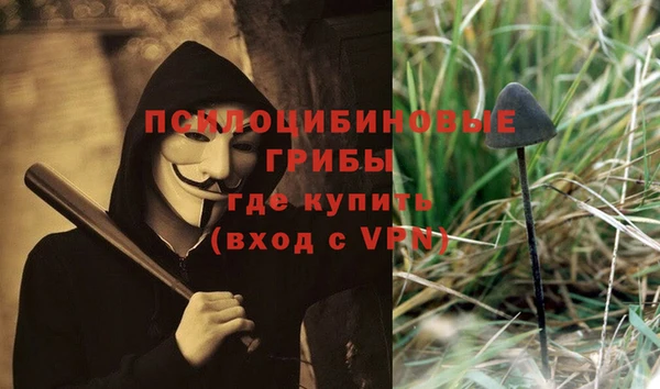 ECSTASY Бронницы