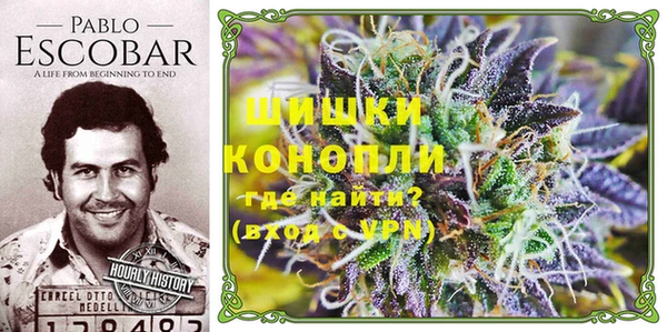 2c-b Бородино