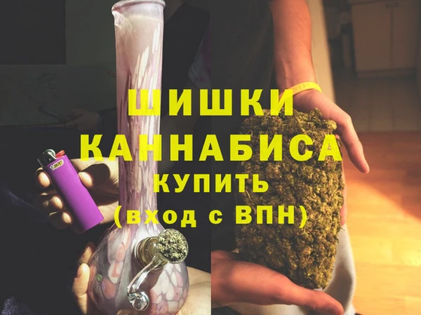 2c-b Бородино