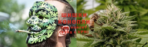 2c-b Бородино