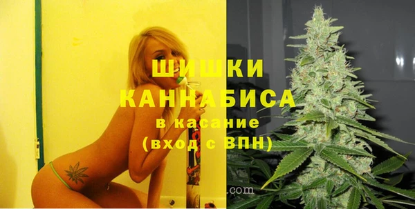 2c-b Бородино