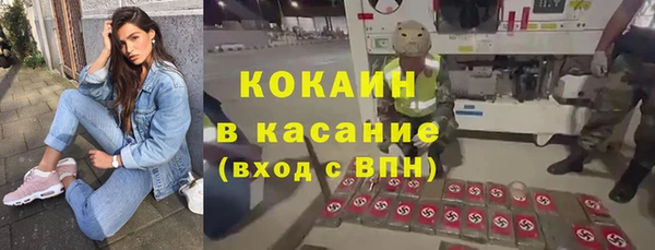 2c-b Бородино